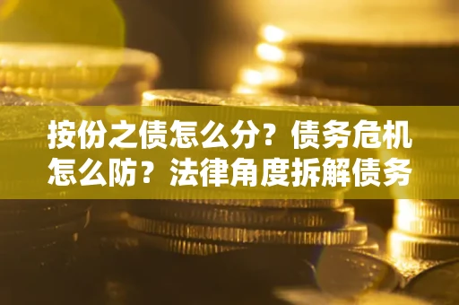 武汉按份之债怎么分？债务危机怎么防？法律角度拆解债务分配与风险自保指南