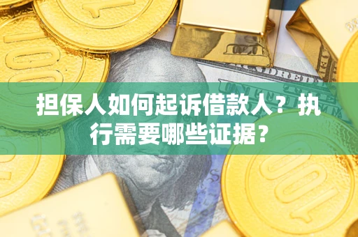 武汉担保人如何起诉借款人？执行需要哪些证据？