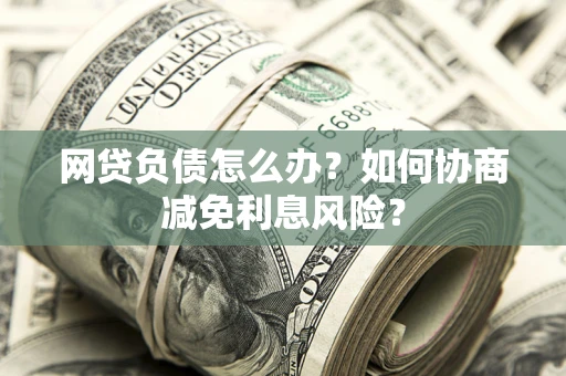 武汉网贷负债怎么办？如何协商减免利息风险？