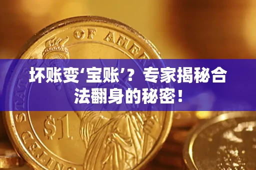 武汉坏账变‘宝账’？专家揭秘合法翻身的秘密！