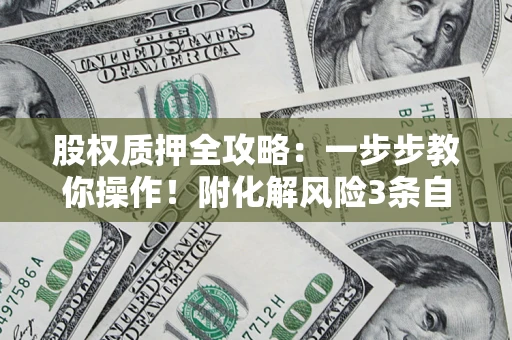 武汉股权质押全攻略：一步步教你操作！附化解风险3条自救法则