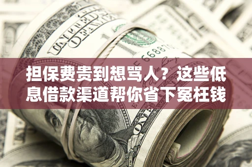 武汉担保费贵到想骂人？这些低息借款渠道帮你省下冤枉钱
