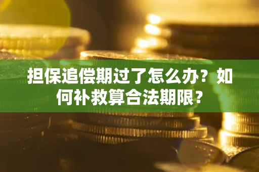 武汉担保追偿期过了怎么办？如何补救算合法期限？