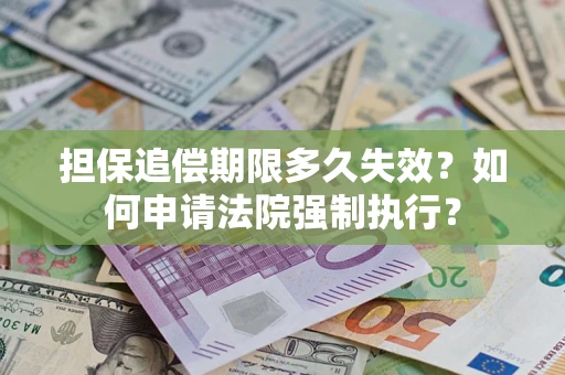 武汉担保追偿期限多久失效？如何申请法院强制执行？