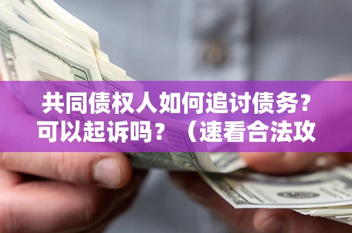武汉共同债权人如何追讨债务？可以起诉吗？（速看合法攻略）