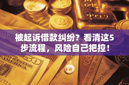 武汉被起诉借款纠纷？看清这5步流程，风险自己把控！
