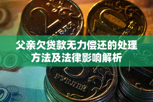 武汉父亲欠贷款无力偿还的处理方法及法律影响解析