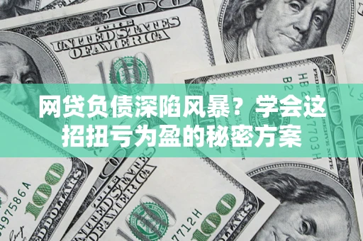 武汉网贷负债深陷风暴？学会这招扭亏为盈的秘密方案