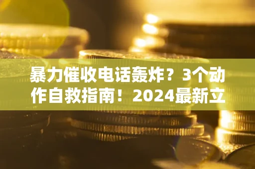 武汉暴力催收电话轰炸？3个动作自救指南！2024最新立案标准全解析