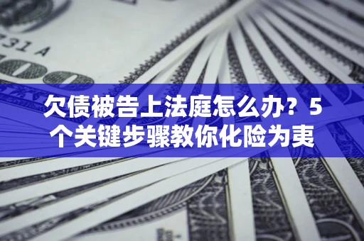 武汉欠债被告上法庭怎么办？5个关键步骤教你化险为夷